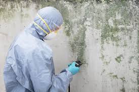 Best HVAC Mold Inspection and Cleaning  in East Douglas, MA